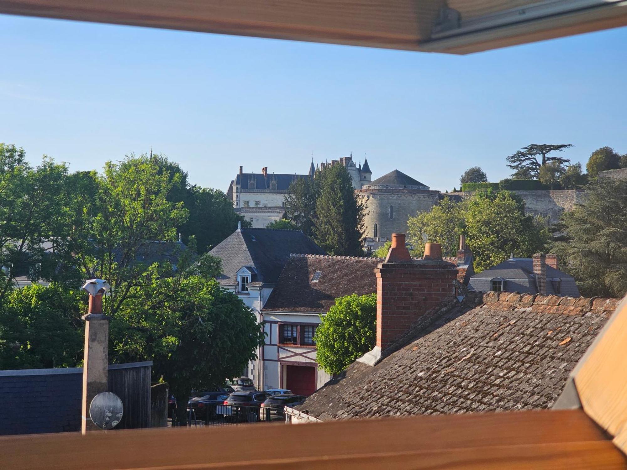 Le Vinci /Maison Pres Du Chateau Amboise Bagian luar foto